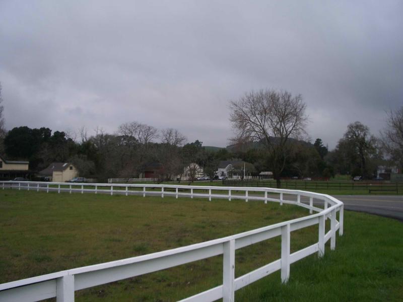 Nicasio 3