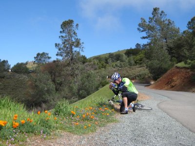 20090411 Mt Diablo  021 copy.jpg