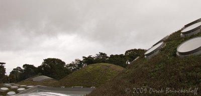 Wider view of the Living Roof