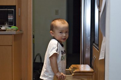 20091126 Dylan 001.jpg