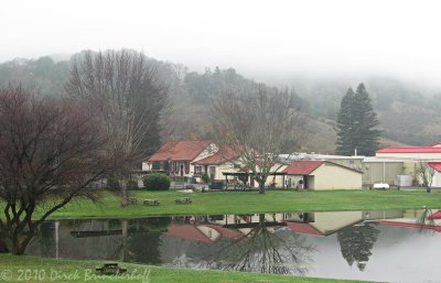 Marin French Cheese Factory  (Rouge & Noir)