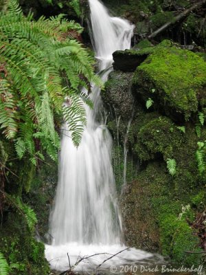 20100123 FoggyTamRide 005.jpg
