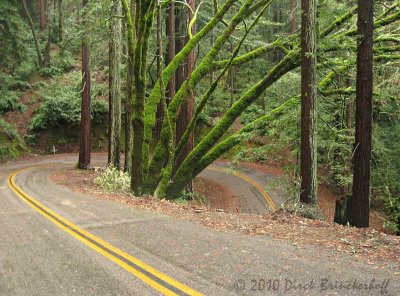 Bolinas-Fairfax Road Hairpin 2