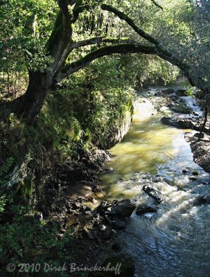 20100207 Ride  001StreamFrmBridge.jpg