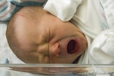 DSC_0054-43Yawn