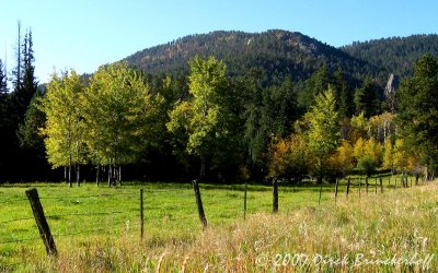 IMG_0460Fence+Aspen