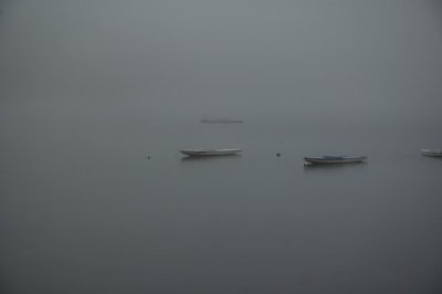 Little boats