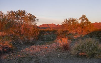 Arizona Desert at Sunset Phyllis.JPG