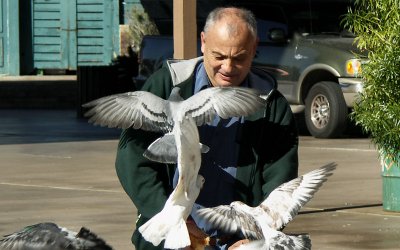 For the Birds. Lake Havasu City, Az. Tom.jpg