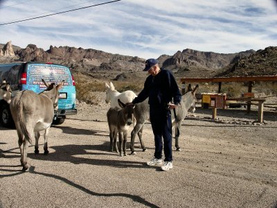 Oatman Arizona portion of trip