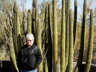 Phyllis in front of an Organ Pipe Cactus tw.jpg
