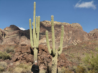 Phyllis vs the Saguaro in Organ Pipe National Monument tw.jpg
