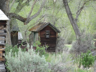 IMG_0196.jpg
