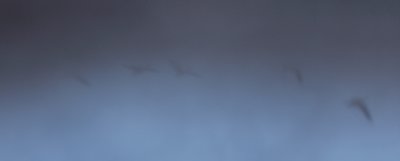g3/13/695413/3/121133449.ZpE2sBsZ.jpg