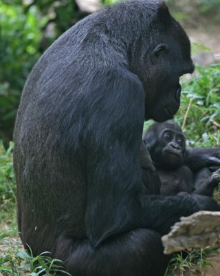 National Zoo