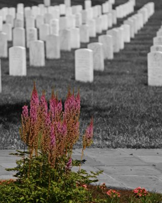 Arlington National Cemetery