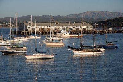 Monterey Bay II