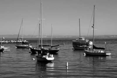 Monterey boats