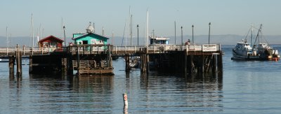 Monterey docks