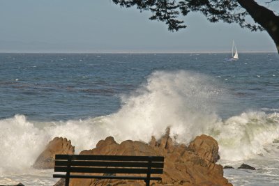 Monterey coast