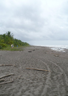 Tortuguero Beach