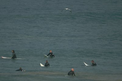 g3/13/767213/3/123894341.reYRU4b3.jpg