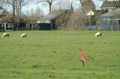 Farmer's golf