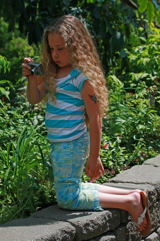 Butterfly Garden
