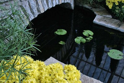 Sunken Garden