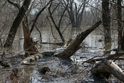 Minnesota River