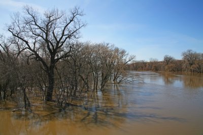Minnesota River Spring Flood