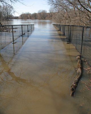  Spring Flood