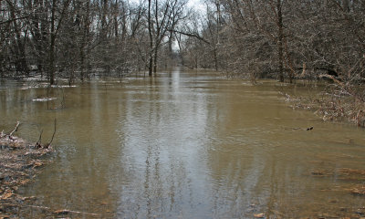 Minnesota River Hiking Trail Spring Flood