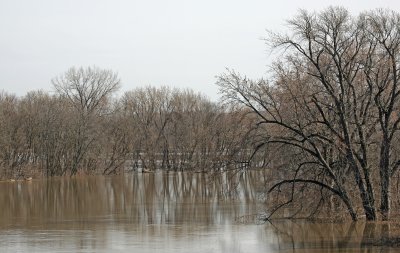 Minnesota River Spring Flood