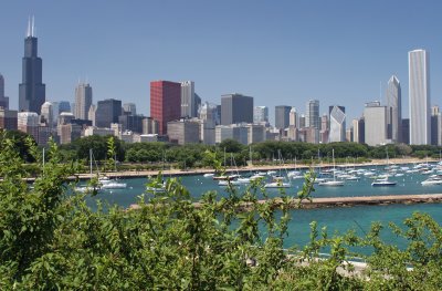 Chicago Skyline