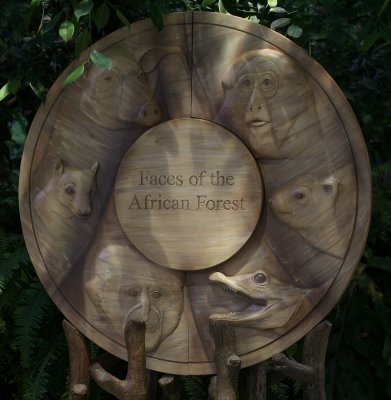Faces of the African Forest 