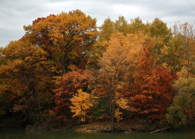 Minnesota Autumn
