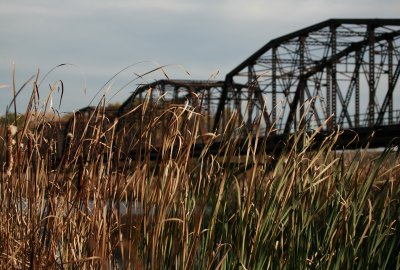 Old Cedar Avenue Bridge