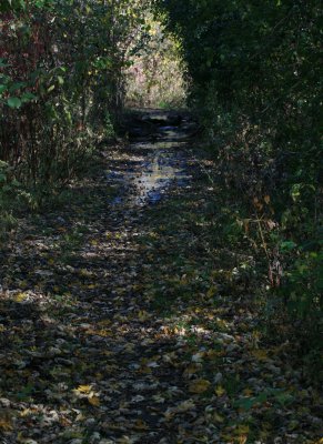 Hiking Trail