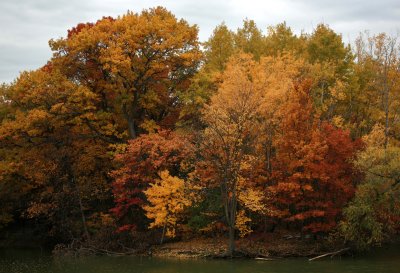 Autumn