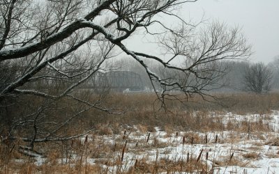 Old Cedar Avenue Bridge and Marsh Area