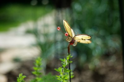 Iron butterfly
