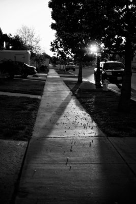 Dust & Concrete