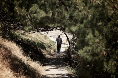 Spring Path