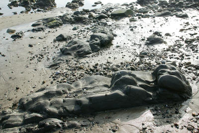 Sea Otter Rock