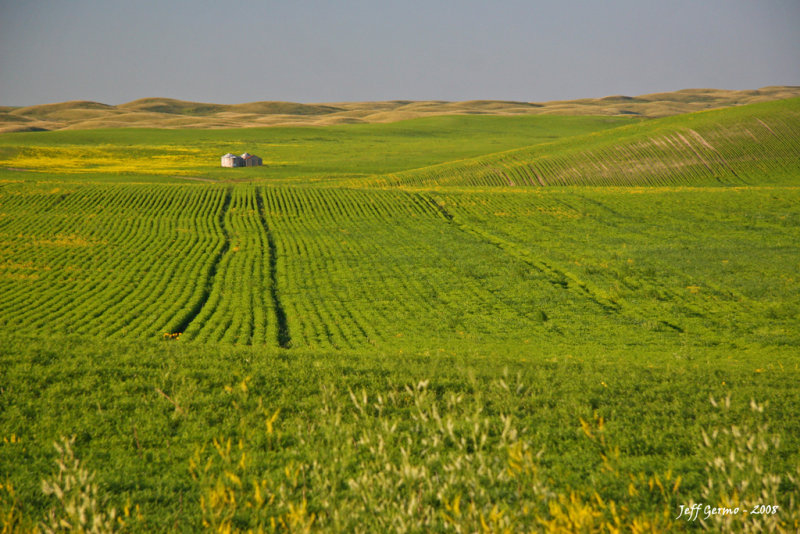 hay-field.jpg