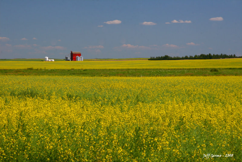 sask-elevators.jpg