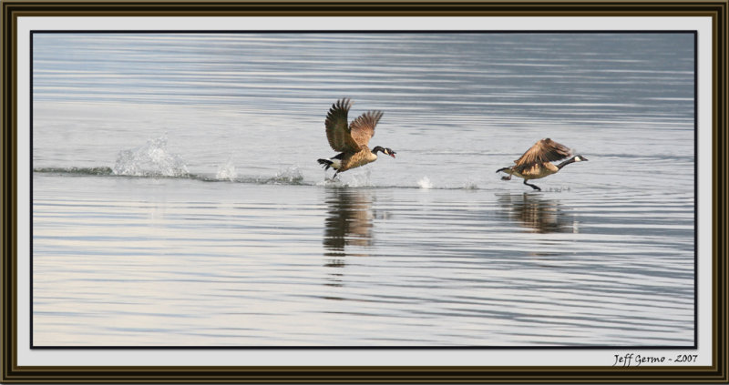the-chase2-framed.jpg
