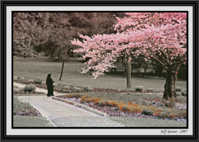 walk-in-the-park-b.w.color-.jpg