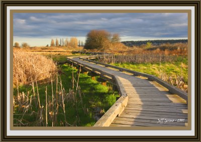 boardwalk-framed.jpg